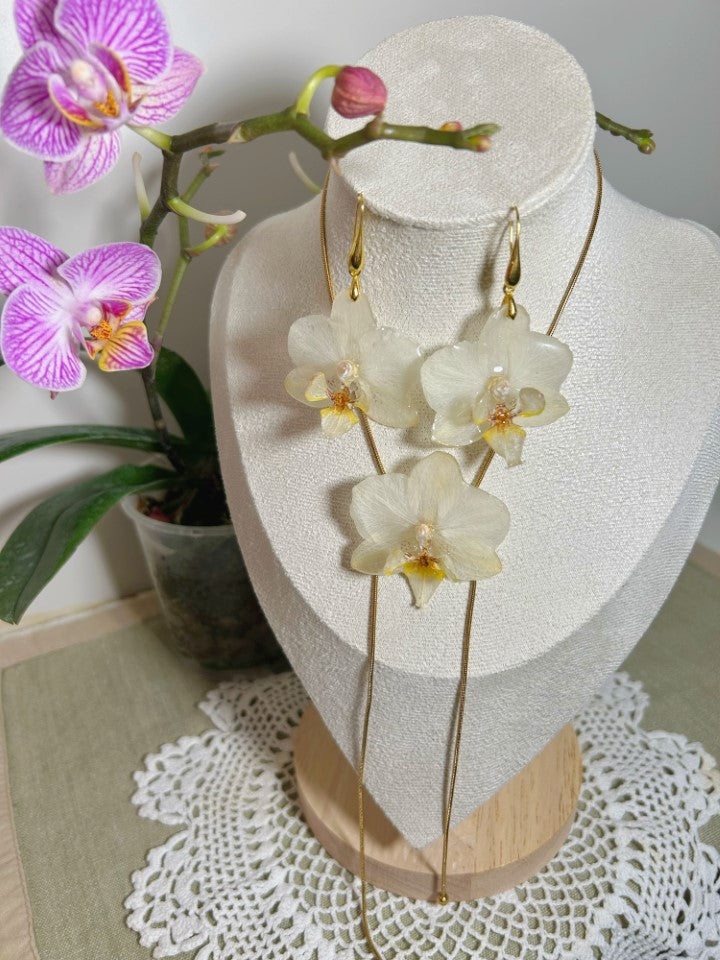 Pureza Floral