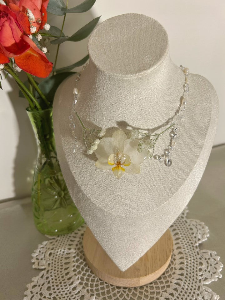 Suspiro de Gypsophila