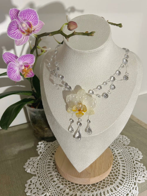 Orquídea de Cristal